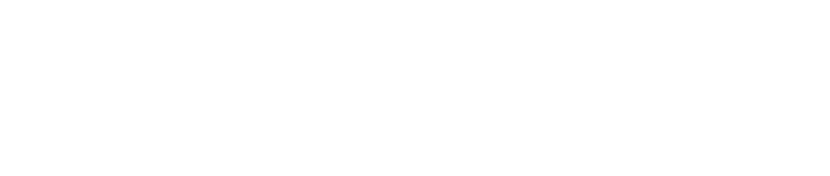 타이응우옌 신문